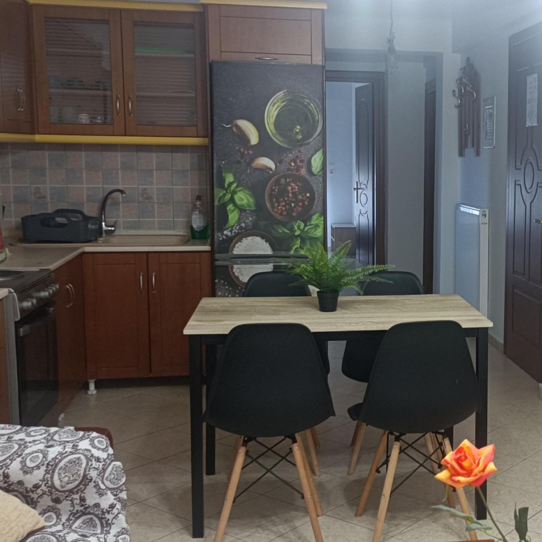 Despoina Apartment With Garden Nea Michaniona Zewnętrze zdjęcie